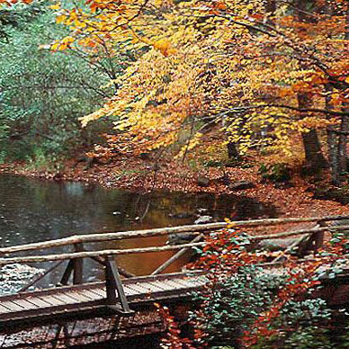 Les Vosges en automne - Résidence des Buis