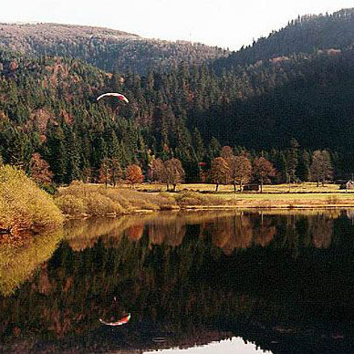 Les Vosges en automne - Résidence des Buis