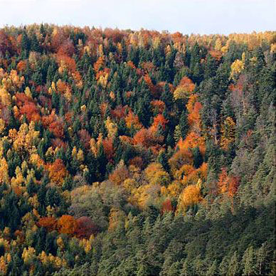 Les Vosges en automne - Résidence des Buis