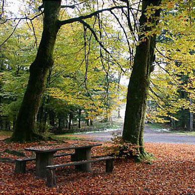 Les Vosges en automne - Résidence des Buis