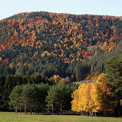 Les Vosges en automne - Résidence des Buis