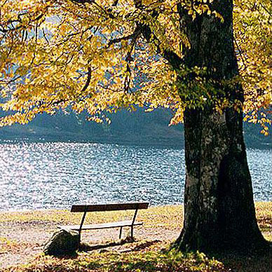 Les Vosges en automne - Résidence des Buis