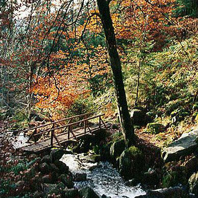 Les Vosges en automne - Résidence des Buis