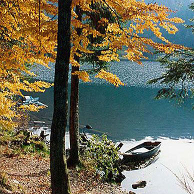 Les Vosges en automne - Résidence des Buis