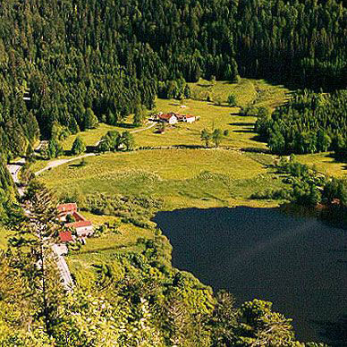 Les Vosges en été - Résidence des Buis