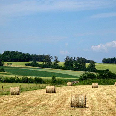 Les Vosges en été - Résidence des Buis