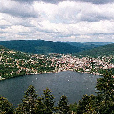 Les Vosges en été - Résidence des Buis