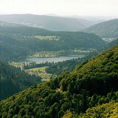 Les Vosges en été - Résidence des Buis