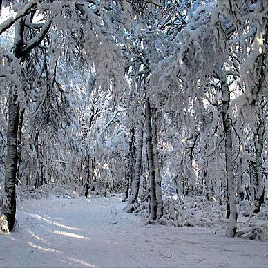 Les Vosges en hiver - Résidence des Buis