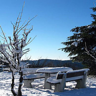 Les Vosges en hiver - Résidence des Buis