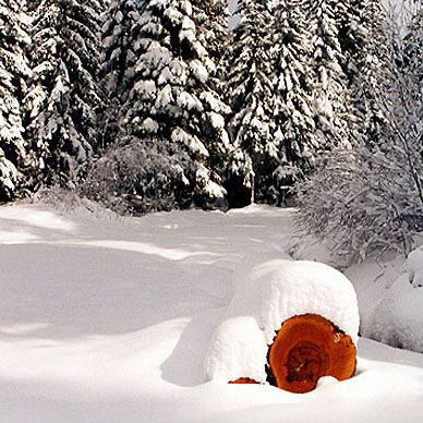 Les Vosges en hiver - Résidence des Buis