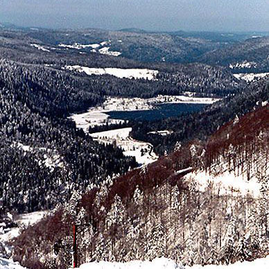 Les Vosges en hiver - Résidence des Buis