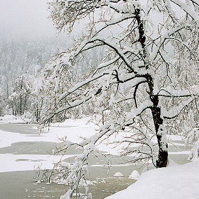 Les Vosges en hiver - Résidence des Buis