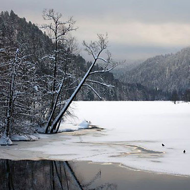 Les Vosges en hiver - Résidence des Buis