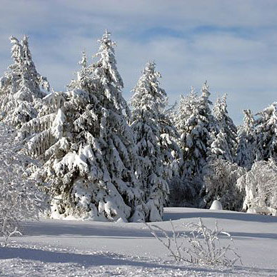 Les Vosges en hiver - Résidence des Buis