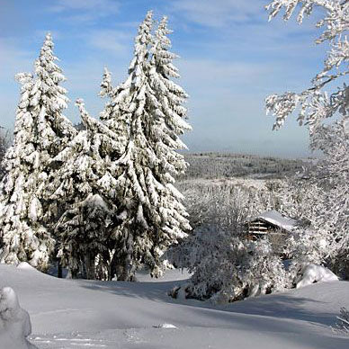 Les Vosges en hiver - Résidence des Buis