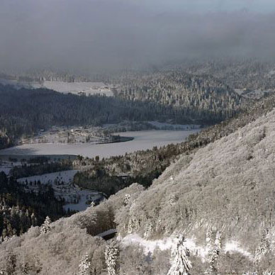 Les Vosges en hiver - Résidence des Buis