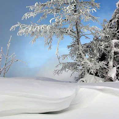 Les Vosges en hiver - Résidence des Buis