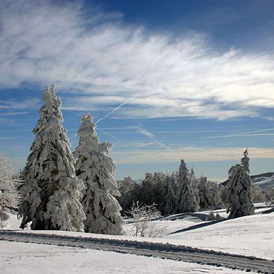 Les Vosges en hiver - Résidence des Buis