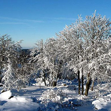 Les Vosges en hiver - Résidence des Buis