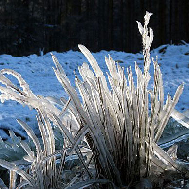 Les Vosges en hiver - Résidence des Buis