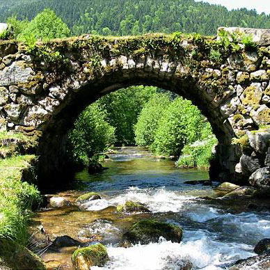 Les Vosges au printemps - Résidence des Buis